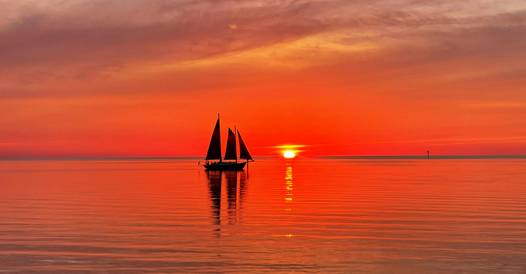 Thing To Do Boat Tours